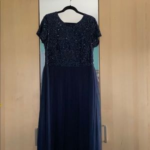 Adrianna Papell Plus Evening Gown